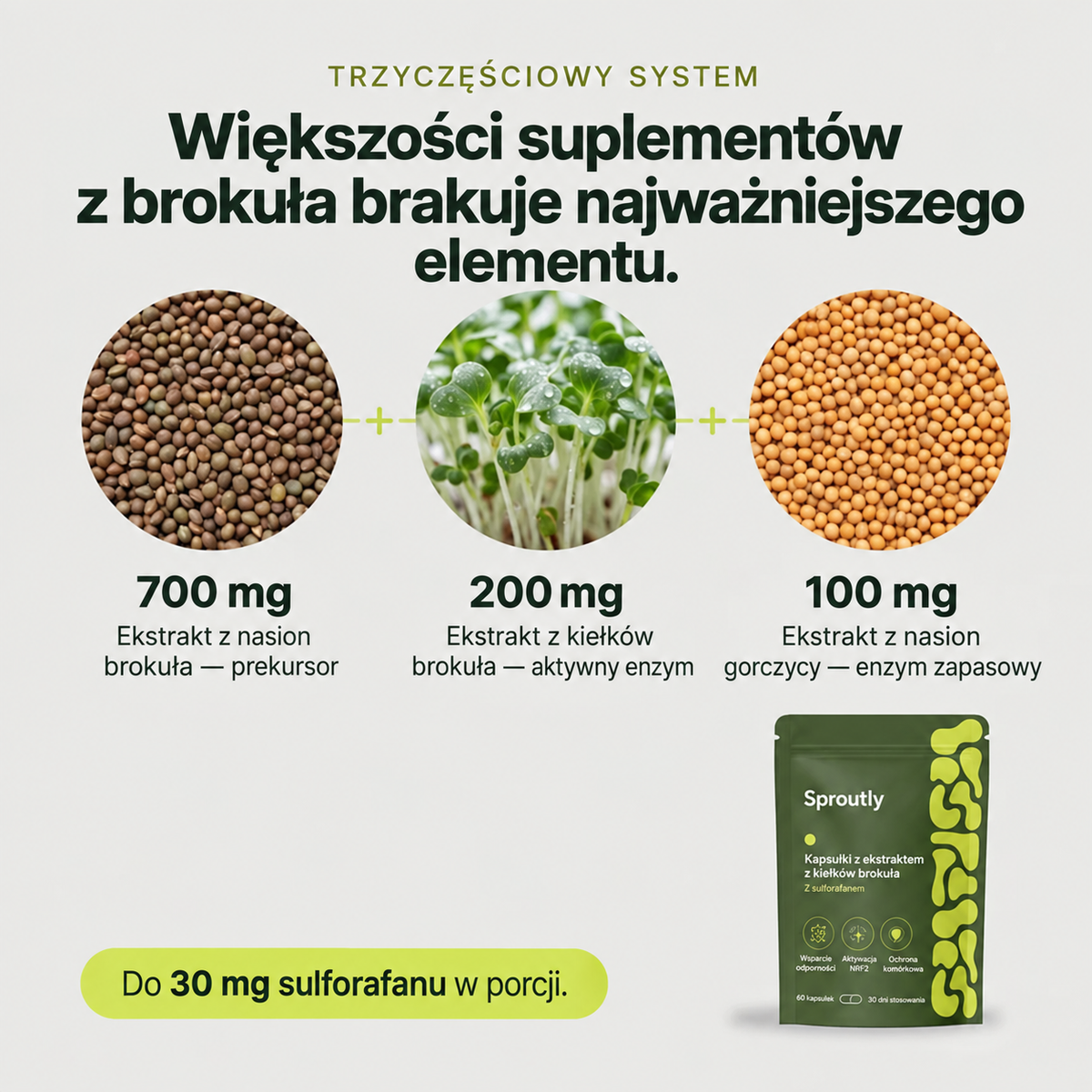 Sproutly Ekstrakt z kiełków brokułu